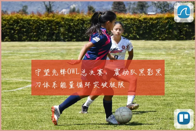守望先锋OWL总决赛,震动队黑影黑刀体系能量循环突破极限